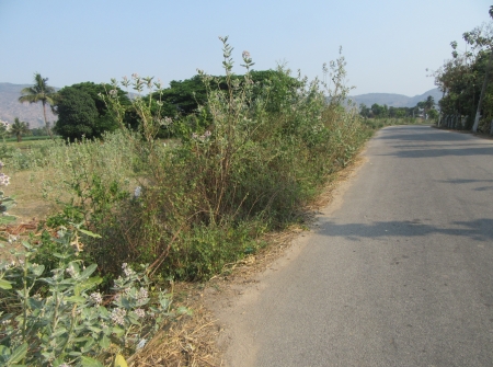 6) Li id 412 - Pic 7.JPG